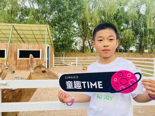 篝火晚会策划大致框架(篝火晚会策划方案)
