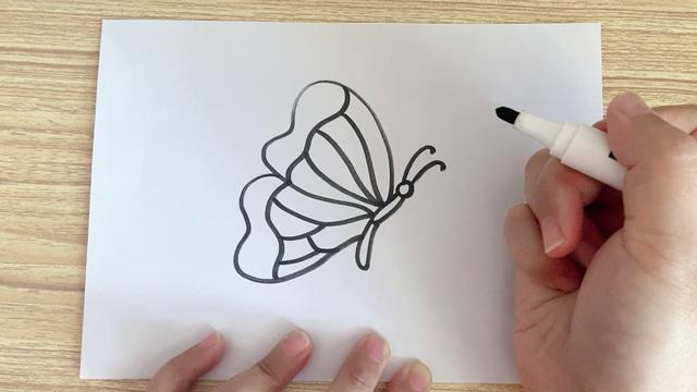 蝴蝶线描画教师作品（蝴蝶线描画法）