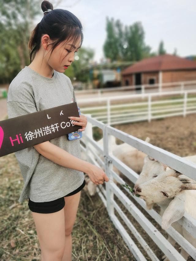 篝火晚会策划大致框架(篝火晚会策划方案)