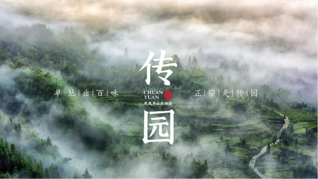茶叶品牌策划书（茶叶品牌策划23易3下7拉cyo）