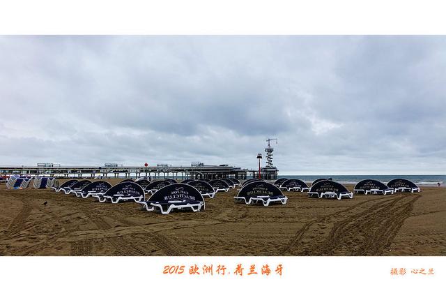 海燕之歌原文（海燕之歌读后感800字）