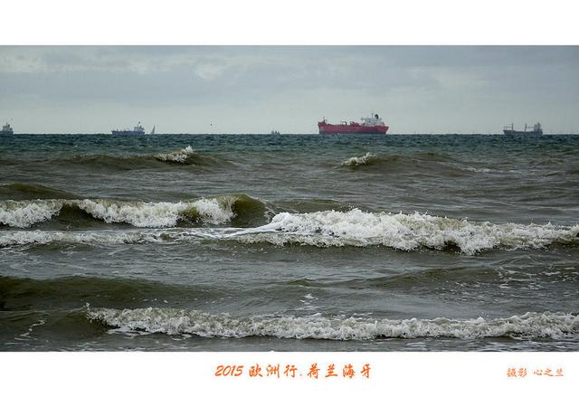 海燕之歌原文（海燕之歌读后感800字）