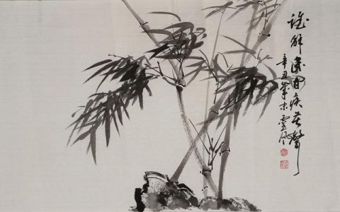 疫情防控工作个人总结500字开头（疫情防控工作个人总结500字标题）