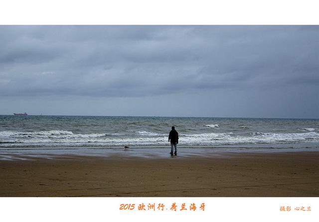 海燕之歌原文（海燕之歌读后感800字）