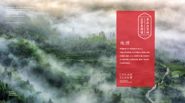 茶叶品牌策划书（茶叶品牌策划23易3下7拉cyo）