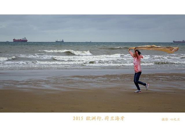 海燕之歌原文（海燕之歌读后感800字）
