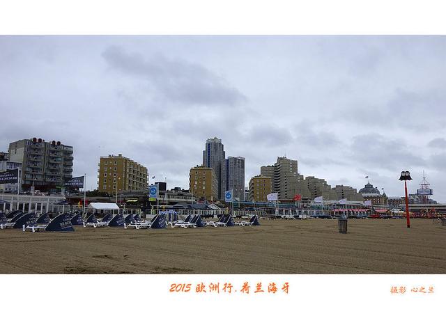 海燕之歌原文（海燕之歌读后感800字）