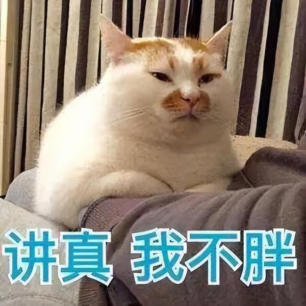 3磅等于多少斤公斤（33磅等于多少斤kg）"