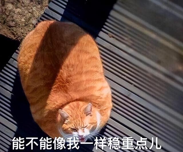 3磅等于多少斤公斤（33磅等于多少斤kg）"