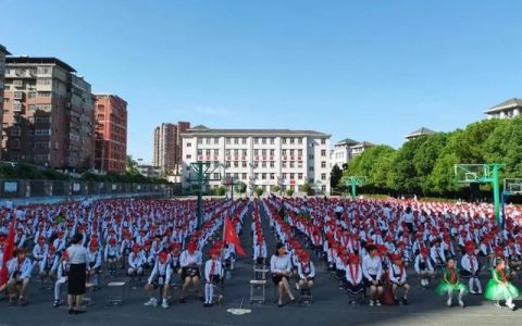 我的乐园100字作文免费（我的乐园100字作文四年级下册）