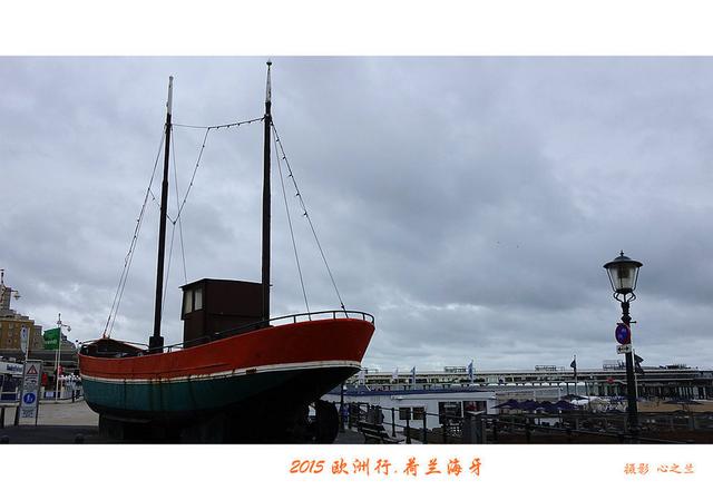 海燕之歌原文（海燕之歌读后感800字）