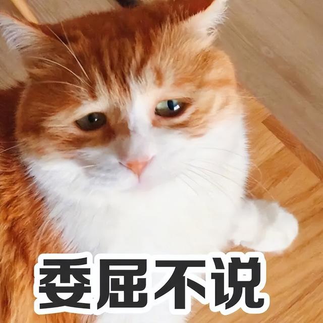 3磅等于多少斤公斤（33磅等于多少斤kg）"