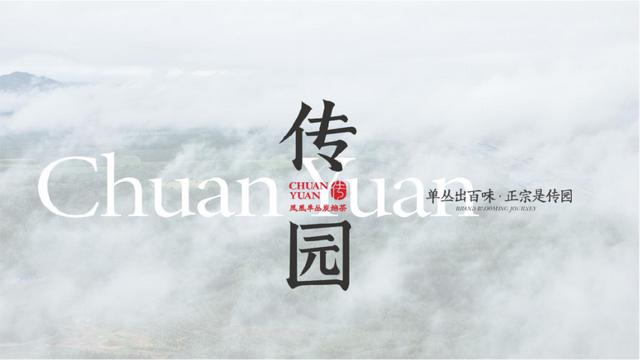 茶叶品牌策划书（茶叶品牌策划23易3下7拉cyo）