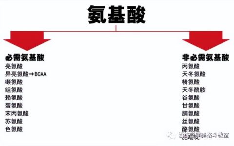 氨基酸表面活性剂的功效与作用（氨基酸表活洗发水）