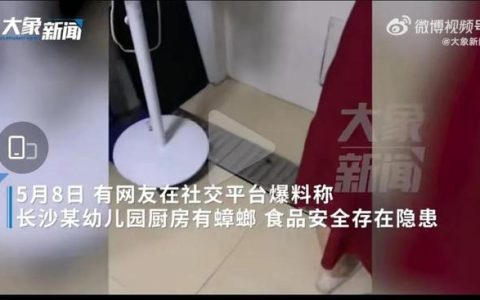 个人随笔幼儿园（随笔幼儿园中班）