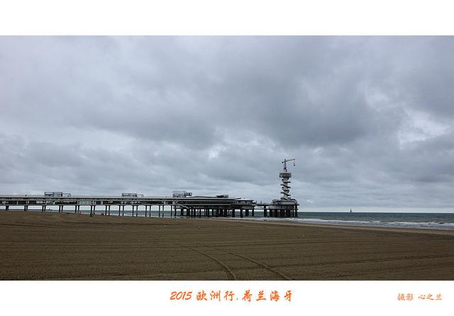 海燕之歌原文（海燕之歌读后感800字）