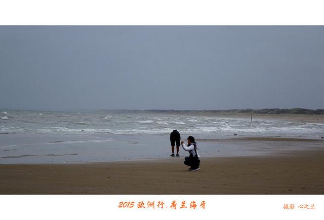 海燕之歌原文（海燕之歌读后感800字）