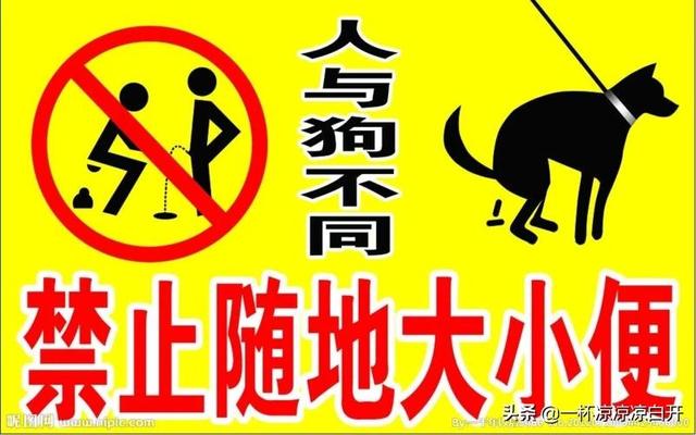 学生会干事算不算学生干部职务(学生会的干事算学生干部吗)