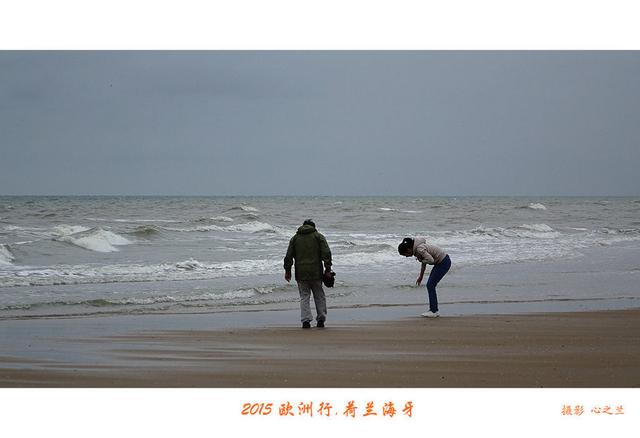 海燕之歌原文（海燕之歌读后感800字）