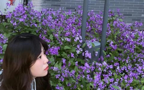 青春格言励志长句（青春格言励志短句唯美）