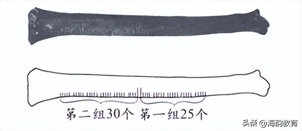 北师大版四年级上册数一数教案（数一数教案中班）