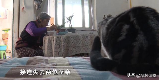 不曾放弃歌曲（不曾放弃什么意思）