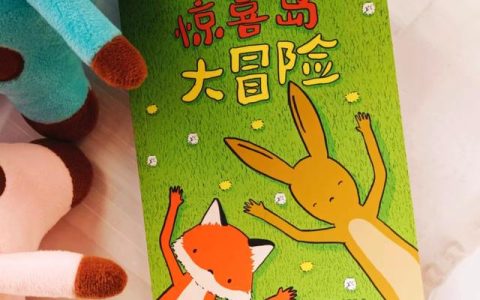 不一样的兔子动画片全集（不一样的兔子音乐篇）
