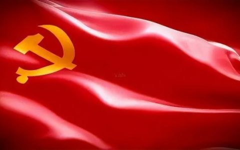 党员评议表自我评价意见简短（党员评议表自我评价100字）