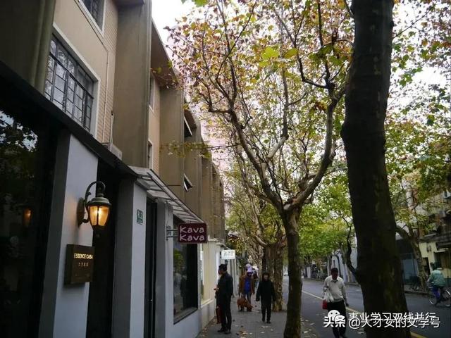 春游主题活动设计方案(春游主题班刊素材题目)