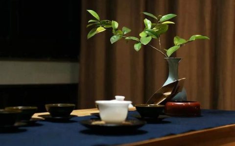 女生喝茶礼仪（喝茶礼仪女人手势须知）