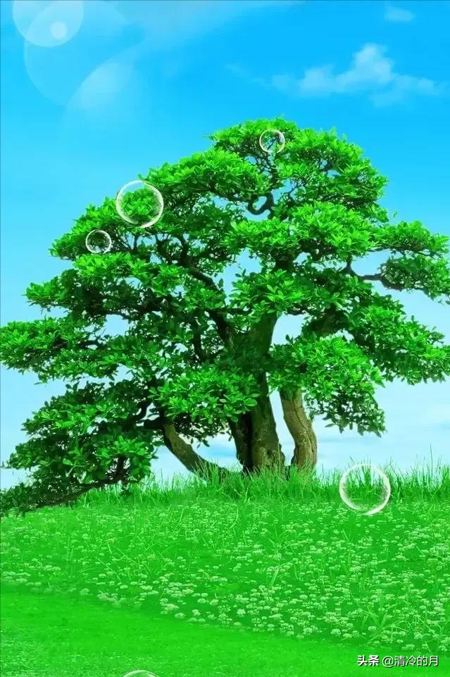 成功的道路需要坚持感悟(坚持感悟人生的经典句子)