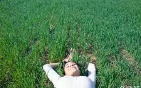 三年级日记100字左右，三年级日记100字左右_生活日记