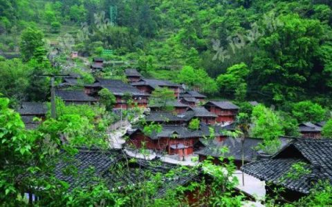管中什么豹_四字成语，管中窥豹的四字成语