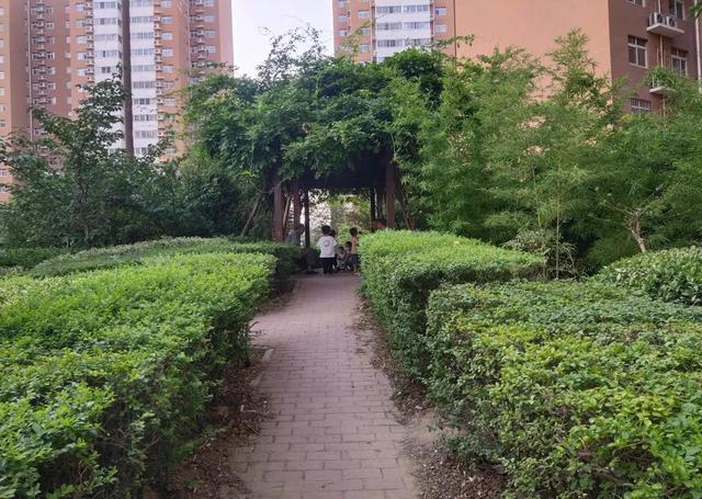 走进社会生活思维导图，第一单元走进社会生活思维导图