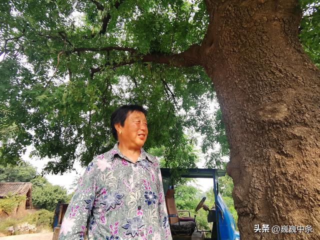 遮天盖地是什么意思，遮天盖地是什么意思