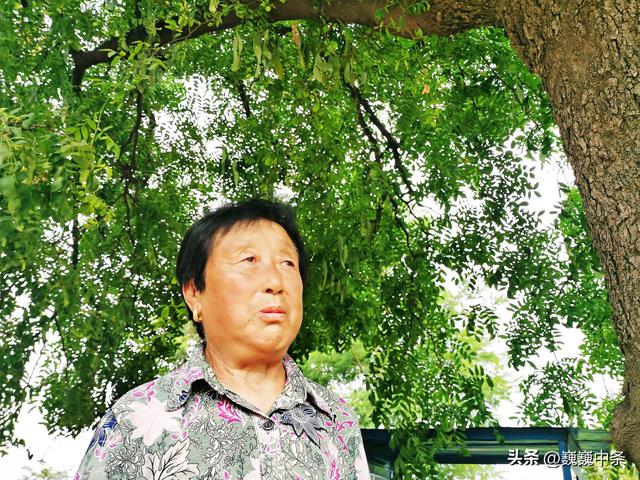 遮天盖地是什么意思，遮天盖地是什么意思