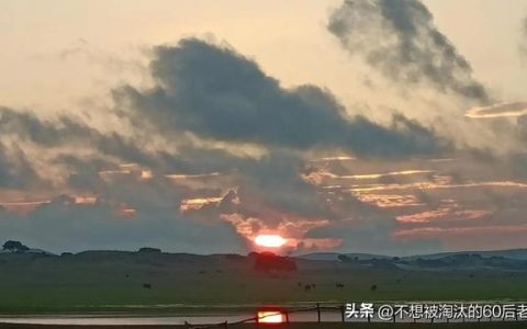 荀巨伯探友文言文翻译阅读答案，荀巨伯探友文言文翻译划分朗读停顿！