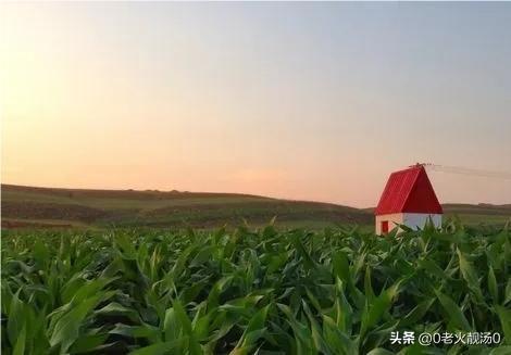 引咎自责什么意思,引咎自责什么意思拼音