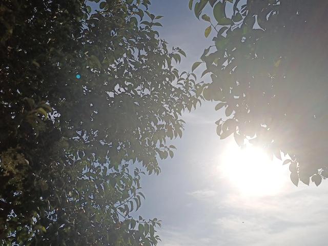 醉成语四个字，醉成语四个字开头
