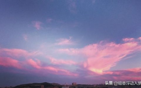 日记素材初中生通用，日记素材初中生200