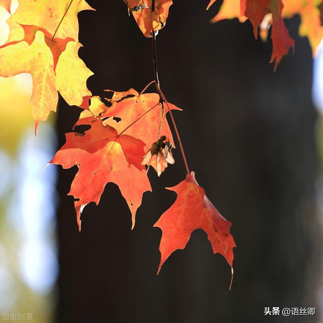 什么的远方填空词语二年级,二年级上册雪孩子，什么的远方填空词语三年级