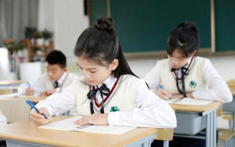 学业生涯是什么意思，小学学业生涯是什么意思！
