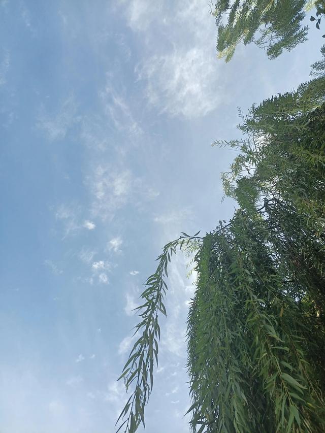 醉成语四个字，醉成语四个字开头