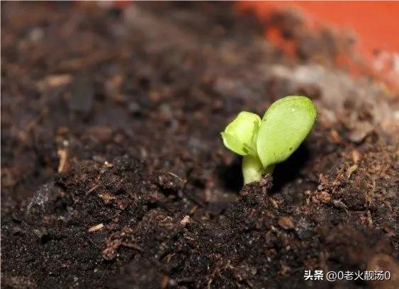 引咎自责什么意思,引咎自责什么意思拼音