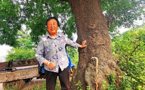 遮天盖地是什么意思，遮天盖地是什么意思