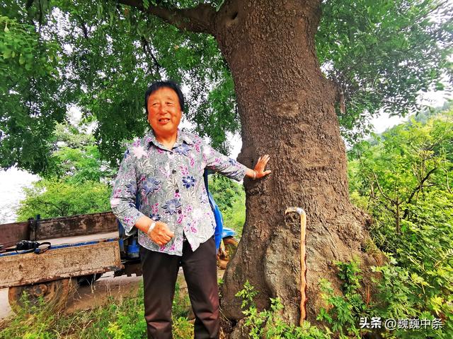 遮天盖地是什么意思，遮天盖地是什么意思