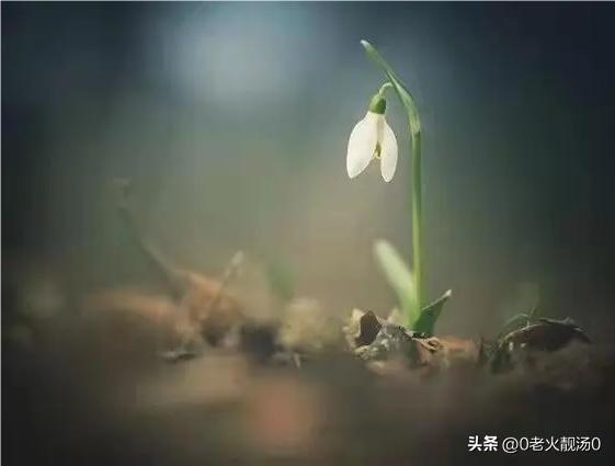 引咎自责什么意思,引咎自责什么意思拼音
