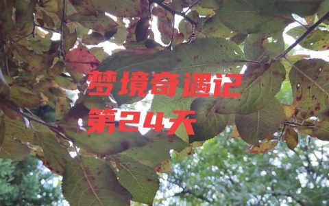 神奇小妖怪手机版下载，神奇小妖怪手机版下载中文