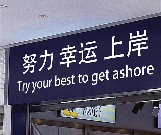 高中生自我总结600字作文，高中生自我总结600字左右！