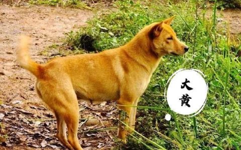 小明的故事搞笑小品视频，小明的故事搞笑小品全集